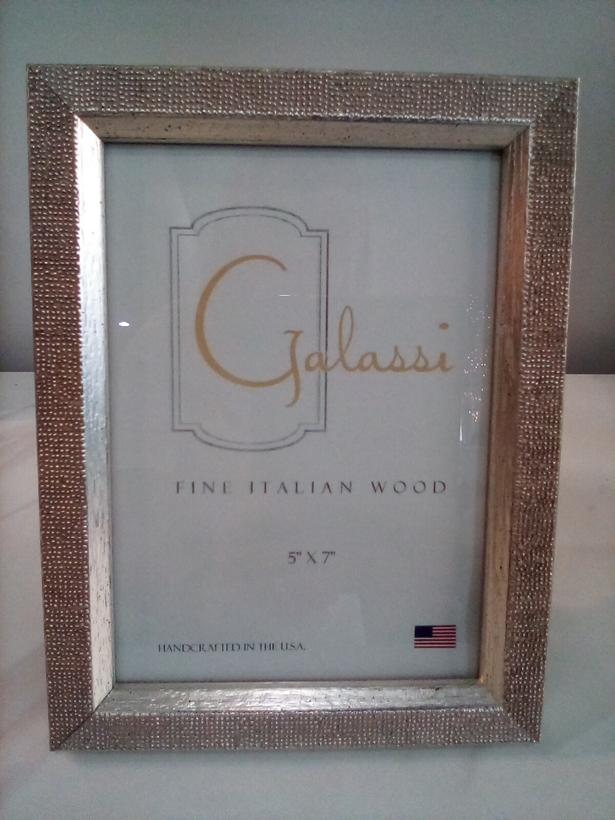 Galassi 5x7 Silver Picture Frame