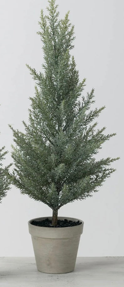 Sullivan's Tabletop Cedar Tree