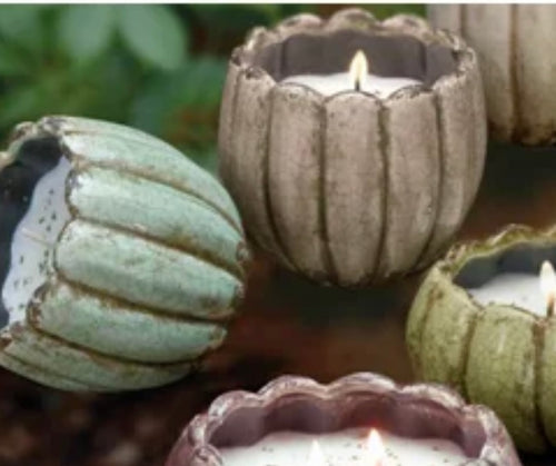 Swan Creek Cranberry Apple Crisp