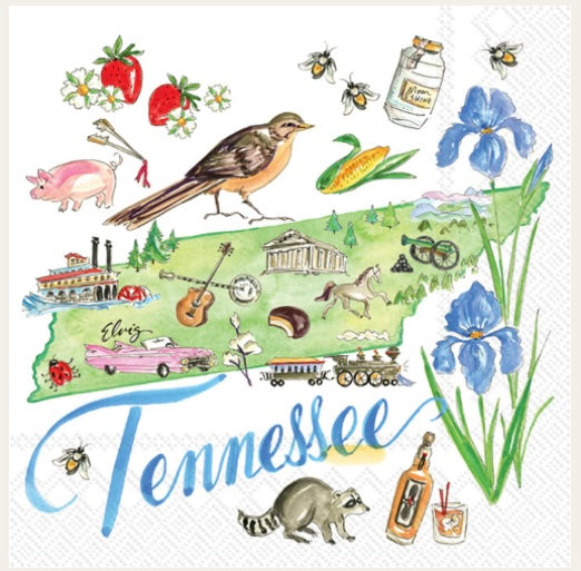 Boston International Tennessee Coaster