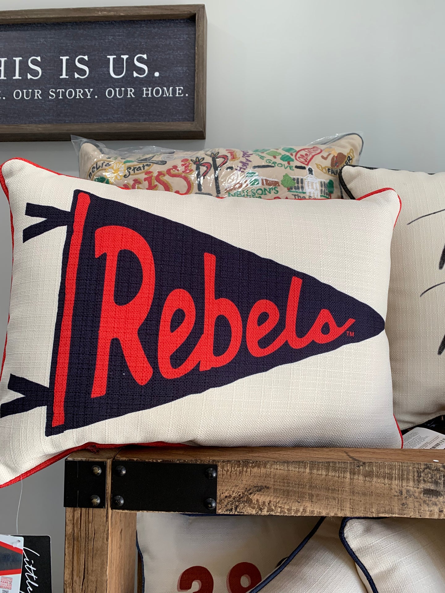 Rebel Pillow